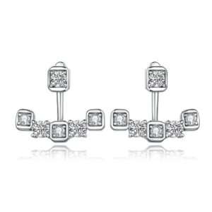 Zircon Stud Earrings Women's 925 Pure Silver Tassel Sterling Silver Earrings