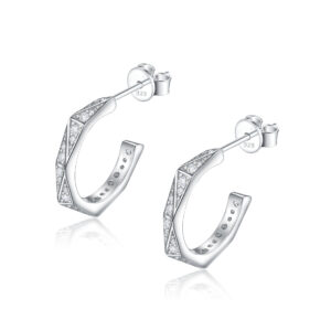 S925 sterling silver double c zircon stud earrings jewelry wholesale