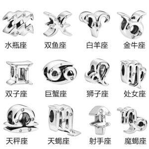 S925 sterling silver bead DIY pendant with 12 constellations