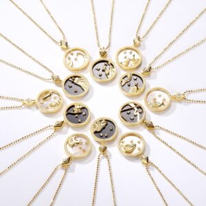 S925 sterling silver necklace shell zodiac pendant clavicle chain