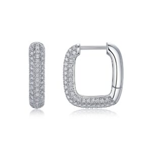 Moissanite S925 sterling silver earrings