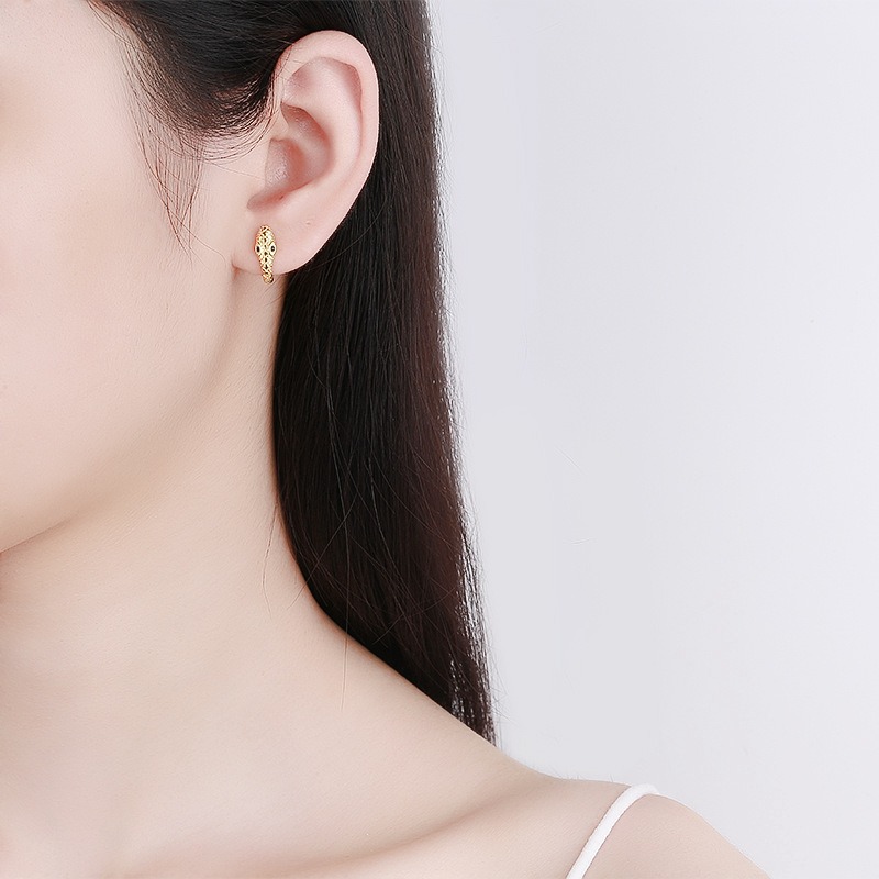 S925 sterling silver stud earrings and snake earrings - Image 4