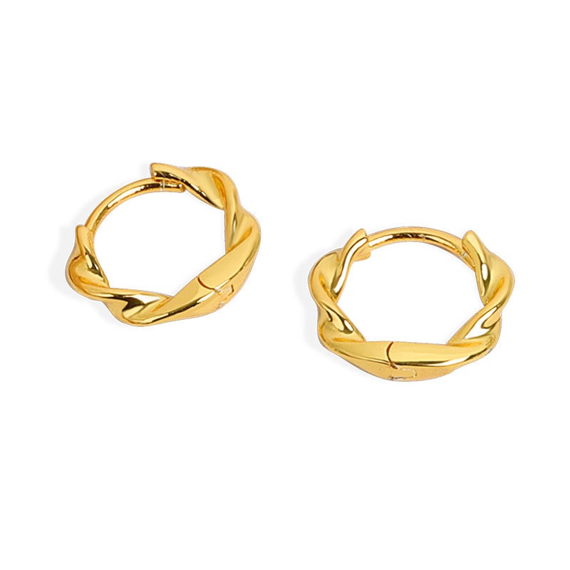 S925 sterling silver stud earrings irregular earrings