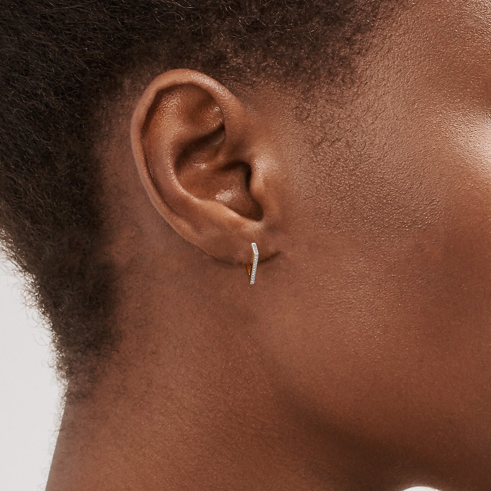 Moissanite S925 sterling silver earrings - Image 6