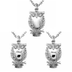 Classic Owl Cremation Urn Pendant Necklace for Ashes Stainless Steel Memorial Locket Necklaces Keepsake Jewelry for Women Men